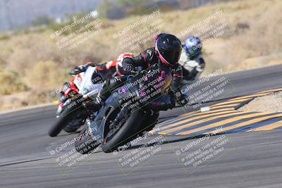 media/Nov-11-2023-SoCal Trackdays (Sat) [[efd63766ff]]/Turn 16 (11am)/